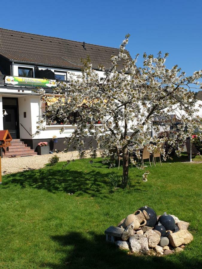 Eifelbluemchen Otel Heimbach Dış mekan fotoğraf